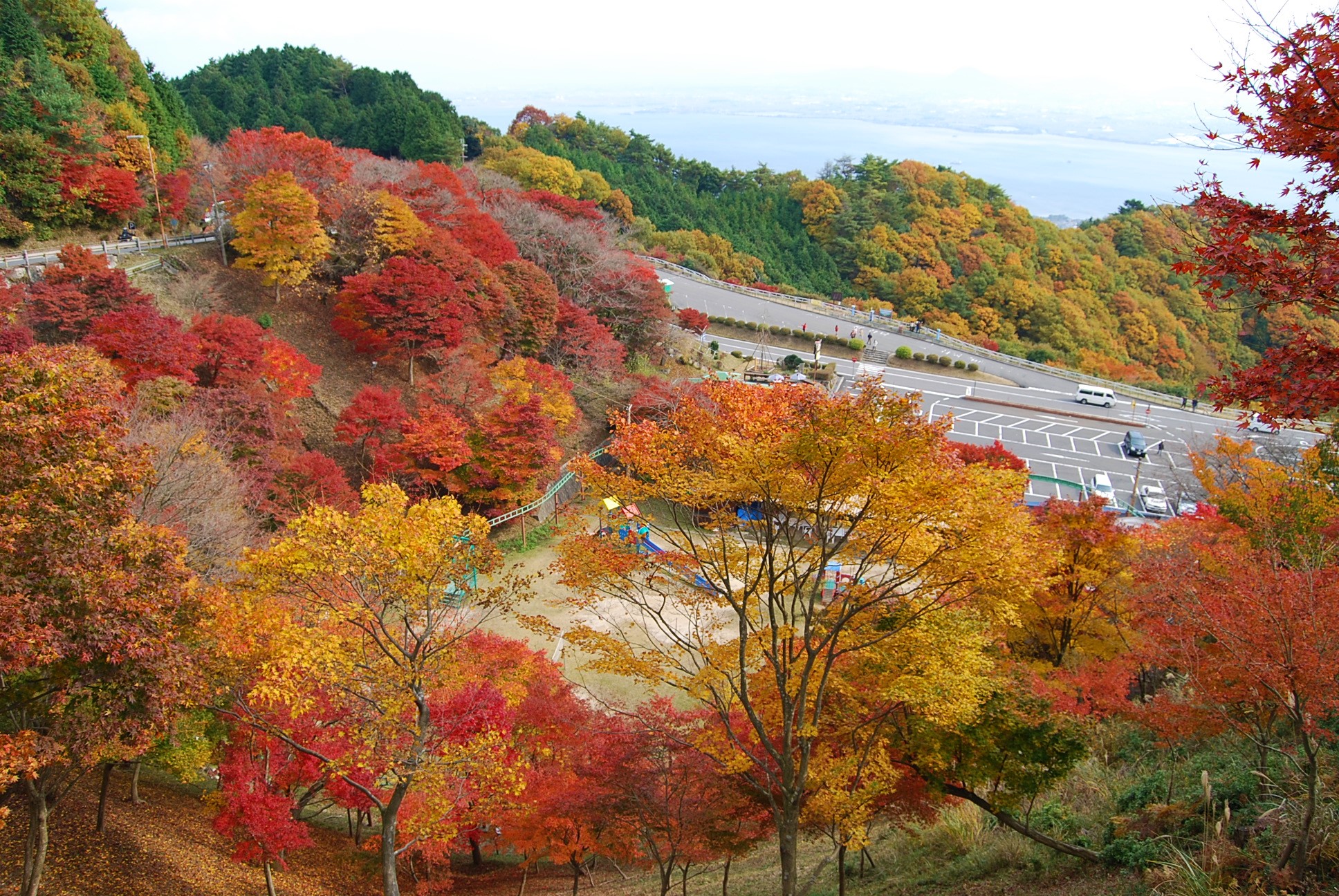 琵琶湖と紅葉のコントラスト 比叡山ドライブウェイ 海と日本project In 滋賀県